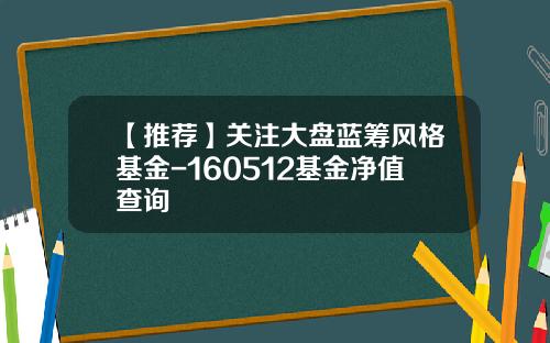 【推荐】关注大盘蓝筹风格基金-160512基金净值查询
