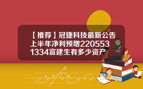 【推荐】冠捷科技最新公告上半年净利预增2205531334宣建生有多少资产