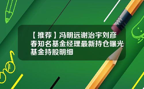 【推荐】冯明远谢治宇刘彦春知名基金经理最新持仓曝光基金持股明细