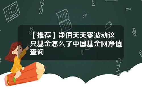 【推荐】净值天天零波动这只基金怎么了中国基金网净值查询