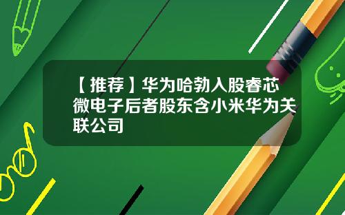 【推荐】华为哈勃入股睿芯微电子后者股东含小米华为关联公司