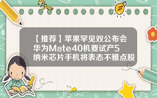 【推荐】苹果罕见双公布会华为Mate40机要试产5纳米芯片手机将表态不雅点股曝光