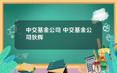 中交基金公司 中交基金公司狄辉