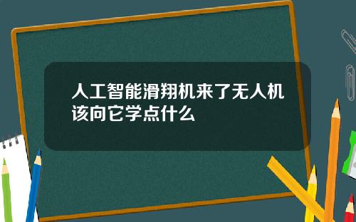 人工智能滑翔机来了无人机该向它学点什么