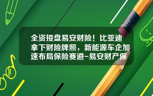 全资接盘易安财险！比亚迪拿下财险牌照，新能源车企加速布局保险赛道-易安财产保险股份有限公司