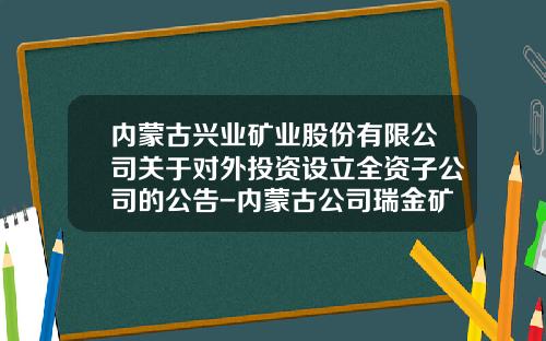 内蒙古兴业矿业股份有限公司关于对外投资设立全资子公司的公告-内蒙古公司瑞金矿业