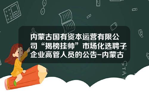 内蒙古国有资本运营有限公司“揭榜挂帅”市场化选聘子企业高管人员的公告-内蒙古范围评估公司招聘