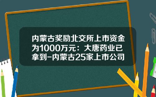 内蒙古奖励北交所上市资金为1000万元：大唐药业已拿到-内蒙古25家上市公司