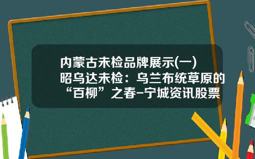 内蒙古未检品牌展示(一)昭乌达未检:乌兰布统草原的“百柳”之春-宁城资讯股票行情走势图