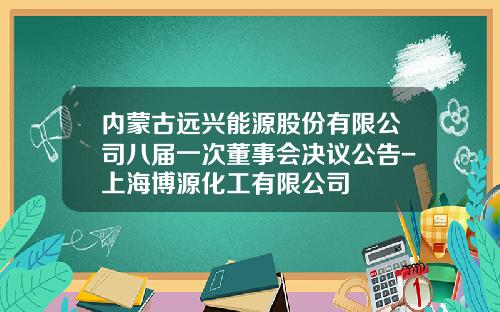 内蒙古远兴能源股份有限公司八届一次董事会决议公告-上海博源化工有限公司