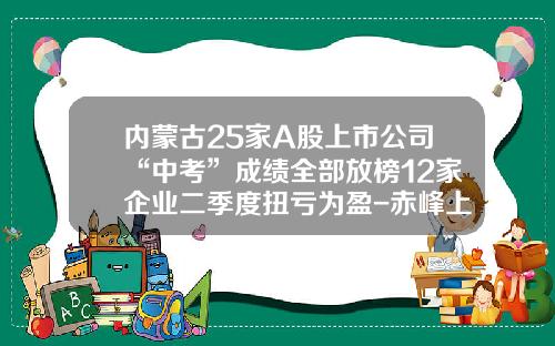 内蒙古25家A股上市公司“中考”成绩全部放榜12家企业二季度扭亏为盈-赤峰上市公司