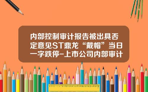 内部控制审计报告被出具否定意见ST鼎龙“戴帽”当日一字跌停-上市公司内部审计