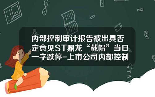 内部控制审计报告被出具否定意见ST鼎龙“戴帽”当日一字跌停-上市公司内部控制审计报告