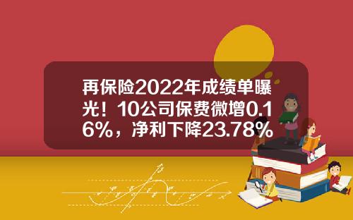 再保险2022年成绩单曝光！10公司保费微增0.16%，净利下降23.78%-2016年国内十大保险公司