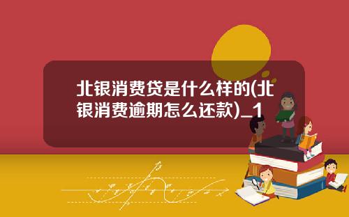 北银消费贷是什么样的(北银消费逾期怎么还款)_1
