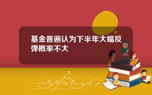 基金普遍认为下半年大幅反弹概率不大