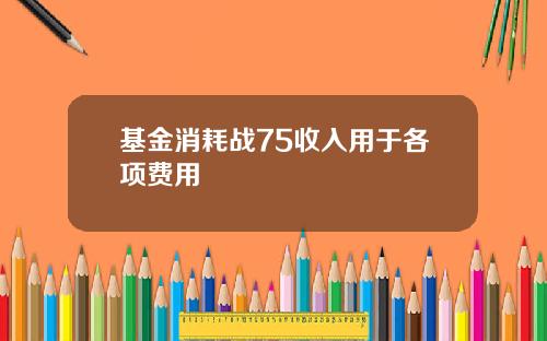 基金消耗战75收入用于各项费用