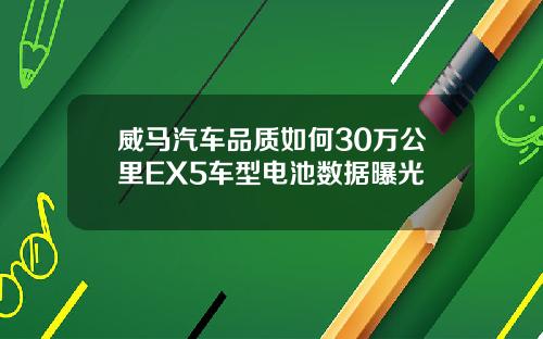 威马汽车品质如何30万公里EX5车型电池数据曝光