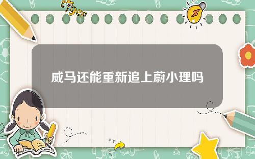 威马还能重新追上蔚小理吗