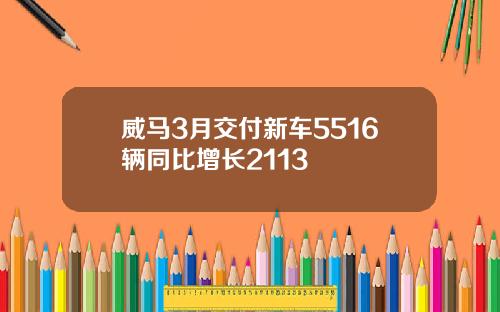 威马3月交付新车5516辆同比增长2113