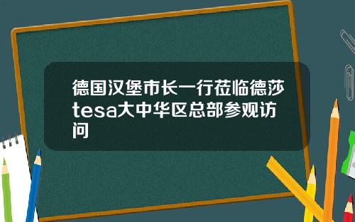 德国汉堡市长一行莅临德莎tesa大中华区总部参观访问