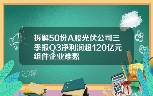拆解50份A股光伏公司三季报Q3净利润超120亿元组件企业难熬