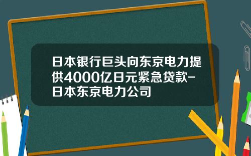 日本银行巨头向东京电力提供4000亿日元紧急贷款-日本东京电力公司