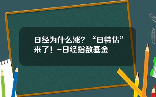 日经为什么涨？“日特估”来了！-日经指数基金