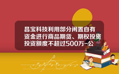 昌宝科技利用部分闲置自有资金进行商品期货、期权投资投资额度不超过500万-公司股东投资期权
