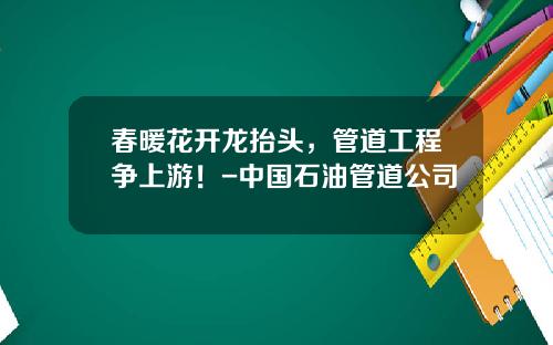 春暖花开龙抬头，管道工程争上游！-中国石油管道公司