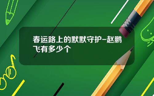 春运路上的默默守护-赵鹏飞有多少个