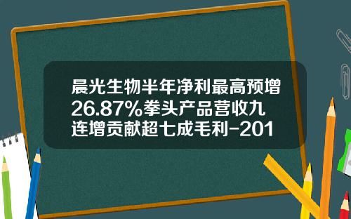 晨光生物半年净利最高预增26.87%拳头产品营收九连增贡献超七成毛利-2010年上市公司年度业绩整体情况