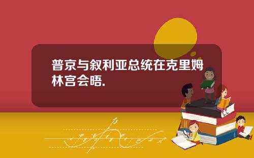 普京与叙利亚总统在克里姆林宫会晤.