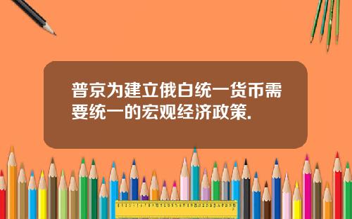 普京为建立俄白统一货币需要统一的宏观经济政策.