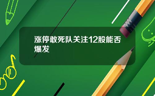 涨停敢死队关注12股能否爆发