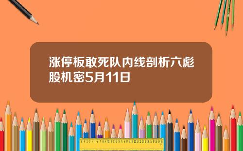 涨停板敢死队内线剖析六彪股机密5月11日