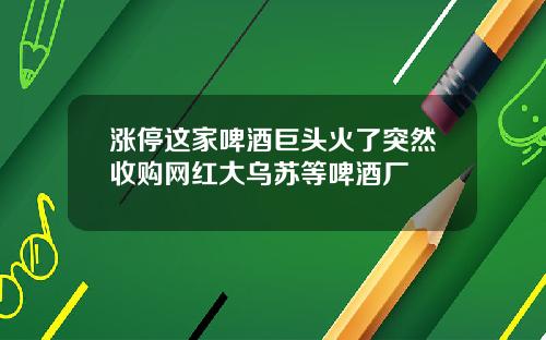 涨停这家啤酒巨头火了突然收购网红大乌苏等啤酒厂