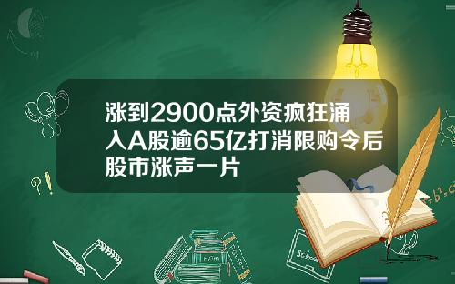 涨到2900点外资疯狂涌入A股逾65亿打消限购令后股市涨声一片