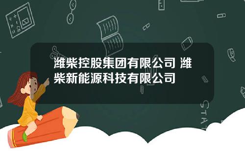 潍柴控股集团有限公司 潍柴新能源科技有限公司