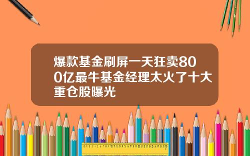 爆款基金刷屏一天狂卖800亿最牛基金经理太火了十大重仓股曝光