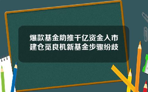 爆款基金助推千亿资金入市建仓觅良机新基金步骤纷歧