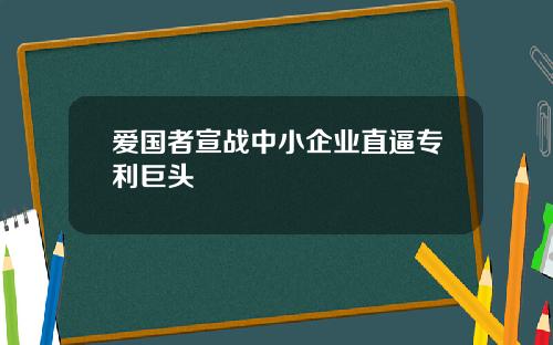爱国者宣战中小企业直逼专利巨头
