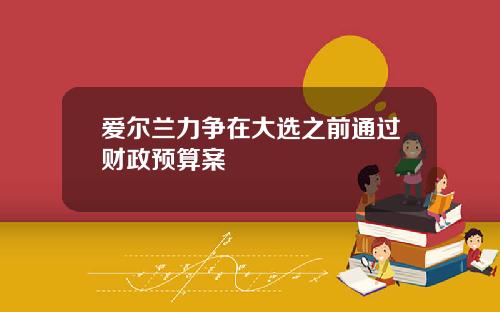 爱尔兰力争在大选之前通过财政预算案