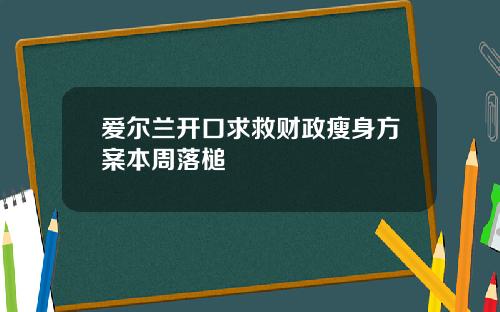 爱尔兰开口求救财政瘦身方案本周落槌