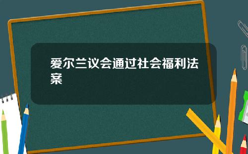爱尔兰议会通过社会福利法案