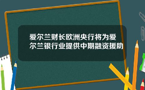 爱尔兰财长欧洲央行将为爱尔兰银行业提供中期融资援助