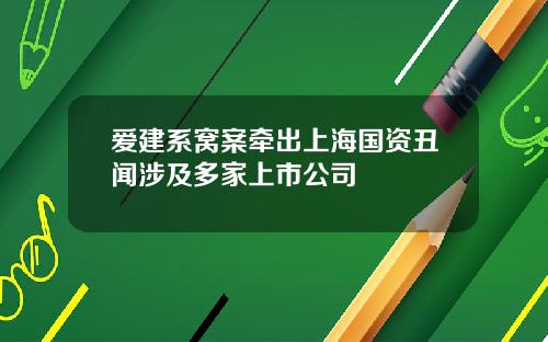 爱建系窝案牵出上海国资丑闻涉及多家上市公司