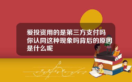 爱投资用的是第三方支付吗你认同这种现象吗背后的原因是什么呢