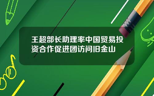 王超部长助理率中国贸易投资合作促进团访问旧金山