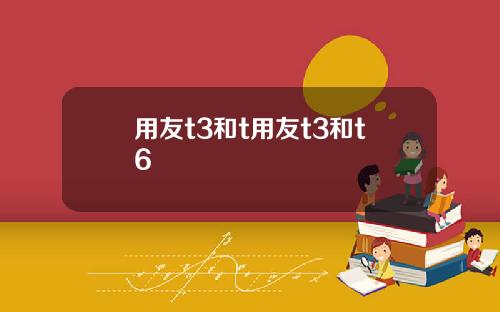 用友t3和t用友t3和t6